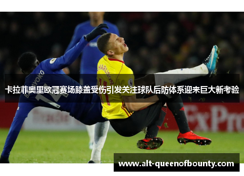 卡拉菲奥里欧冠赛场膝盖受伤引发关注球队后防体系迎来巨大新考验 卡拉菲奥里欧冠赛场膝盖受伤引发关注球队后防体系迎来巨大新考验