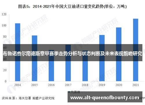 布鲁诺费尔南德斯意甲赛季走势分析与状态判断及未来表现前瞻研究